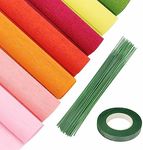 Crepe Paper Flower DIY Kits - 7 Rolls Rainbow Bright Colors Crepe Paper 2 Rolls Green Floral Tape and 50 Green Floral Iron Wire for Wedding Festival Party Wreath Making Supplies DIY Flower Crafts