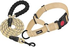 haapaw 2 Packs Martingale Dog Collar with Quick Release Buckle Reflective Dog Training Collars for Small Medium Large Dogs