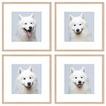 OAK Wood Square Picture Photo Frame,Compatible with 30x30cm(12x12in) without mat and 20x20cm with mat images for Wall Mounting In Living Room, Bedroom,Gallery,Set of 4