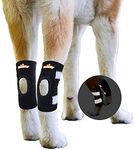 NeoAlly Dog Rear Leg Braces Ankle Support [Pair] Canine Hind Hock Sleeves with Safety Reflective Straps for Injury, Sprain, Wound Healing and Arthritis (Large)