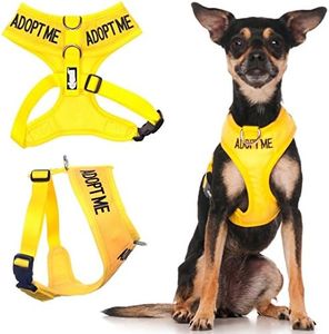 (Extra Small Harness 13-48cm Chest/Girth) - ADOPT ME (I Need A New Home) Yellow Colour Coded Non-Pull Front and Back D Ring Padded and Waterproof Vest Dog Harness PREVENTS Accidents By Warning Others Of Your Dog In Advance