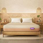 Wakefit Mattress | 15 Year Warranty |Latex Plus Mattress | King Mattress, 8-Inch King Size Mattress (78x72x8 Inches, Firm Comfort, AeroTex Plus Fabric, Creme Beige)