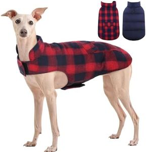 Kuoser Dog