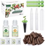 GardenCube 166pcs Hydroponic Pods Kit: Grow Anything Kit with 40 Grow Sponges, 40 Grow Baskets, 40 Grow Domes, 40 Pod Labels, 6 A&B Plant Food - Compatible with Hydroponics Supplies from All Brands