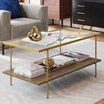 Nathan James 31201 Asher Mid-Century Rectangle Coffee Table Glass Top and Rustic Oak Storage Shelf with Sleek Brass Metal Legs, Gold