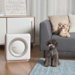 Coway Airmega Mighty Air Purifier   – White