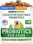 Probiotics for Dogs - Gas, Diarrhea, Allergy, Constipation, Upset Stomach Relief, w/Digestive Enzymes + Prebiotics - Chewable Supplement - Improve Digestion, Immunity - Dog Probiotics Chews - 120Ct