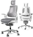 Desky Pro+ Ergonomic Chair - White