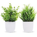 Der Rose 2 Packs Small Fake Plants Mini Artificial Potted Plants for Table Desk Home Bathroom Office Decor