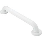 Moen R8718W 18-Inch Grab Bar Glacier (Glacier)