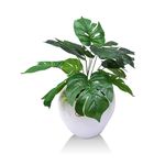 ENUTROF Artificial Plants with Basic Pot for Gifiting, Home Decor, Office Decor & Commercial Site ||Swiss Cheese Plant Artificial Plant for Indoor ||Size:56Cm/1.8FT