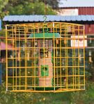 Amijivdaya Plastic Feeder with Metal Cage for Large Bird, Green, 6 Nozzle