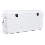 Igloo Marine Contour 150 Qt Cooler