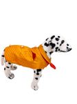 Dog Sherwani or Dog Sherwani Wedding Dres Pet Outfit for Dogs Dog Clothes Elegant Dog Costume Dog Dress for Male Dogs (Yellow) (20)