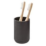iDesign Toothbrush Holder for Norma