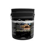 Armor AR500 High Gloss Wet Look Concrete Sealer 5 Gallon - Professional Grade Color Enhancing Solvent Based Acrylic Sealer for Exterior Concrete and Pavers - 700 VOC