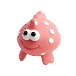 Water Babies Baby and Toddler Teething and Bath Fish Toy - Dotty