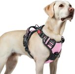 rabbitgoo Dog Harness for Large, No