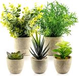 TRNZ Decorative Artificial Plants in Pots Set of 5 - Small Plastic Fake Plants Indoor with Pot - Eucalyptus Rosemary Succulents Mini Faux Plants for Wall Desk Bedroom Decoration