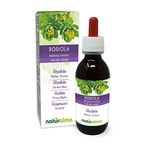 Rhodiola (Rhodiola rosea o Sedum roseum) Roots Alcohol-Free Mother Tincture Naturalma - Liquid Extract Drops 120 ml - Food Supplement - Vegan