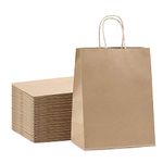 Gitanjali Paper Curves® -Disposable Brown Paper Bags 10x14x5 inches 15pcs - Paper Carry Bags, Craft Paper Gift Bags -Recycled Eco Friendly Paper Bags(15 pcs)