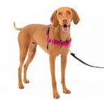 Easy Dog Harness