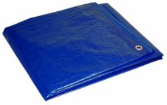 Dry Top 808100 Cut Size Tarp, 8x10 Feet (Blue)