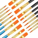 20 Pcs Paint Brush Set for Acrylic 