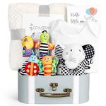 Baby Gift Set, Baby Shower Gifts, Black and White High Contrast Baby Toys 0-6 Months for Newborn Essentials Infant Rattle Socks Elephant Toys Blanket Onesies Baby Gift Basket for Girls Boys (Elephant)