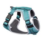 Embark Pets Sports Medium Dog Harness, No Pull, Lightweight, Breathable, Size Adjustable, Handle for Control, Blue