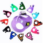 EcoBark Dog Harness - Teacup Dog Harness for XXXS, XXS, XS and Small Dogs - Step in Mesh No Pull Mini Body Vest Halter - Puppy Harness - Toy Breed Dog Harness Vest Under 5 pounds lbs (XXXS, Lavender)