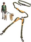 Exquisite Double Dog Leash for Larg