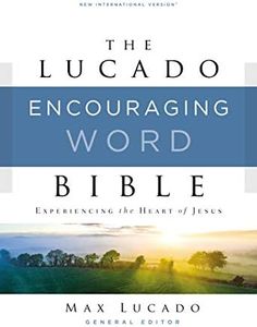 NIV, Lucad