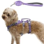 Wuffley Escape Proof Dog Harness and Leash Set, Lightweight Dog Harness with Lift and Assist Handle, No Pull Reflective Pet Vest for Small Medium Dogs, Ideal for Puppy Walking and Training (Purple, S)