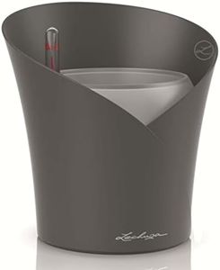 Lechuza 13961 ORCHIDEA Self-Watering Planter for Indoor and Outdoor Use, 7.2" x 7" x 7.7", Slate Matte