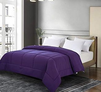 Blue Ridge Home Fashions Comforter Breathable Microfiber Duvet Insert, Summer Cooling Winter Warm Reversible Down Alternative Quilt Comforter for All Season, Twin, Purple/Violet