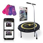 Boogie Bounce Studio Rebounder | Folding & Super-Quiet Rebounder For Adults & Children | Adjustable T-Bar Handle & 20st Weight Limit | Includes DVD, Mobile App, Storage Bag & Gripper Socks