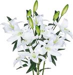 Grand Verde Lily Artificial Flowers Bulk Bouquet 30” Long Stems Dozen Blooming Silk Flower Heads Wedding Decoration Indoor Home Decor DIY Floral Crafts Table Centerpiece, 3pcs (White)