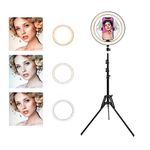 Ring Light with Stand OEBLD Selfie Light Ring with iPhone Tripod and Phone Holder for Video Photography Makeup Live Streaming YouTube Lighting (C(10.2''Ring Light & 63''Tripod))