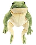 ICE KING BEAR Plush Giant Frog Stuffed Animal Soft Toy, 22 Inches Large, Green