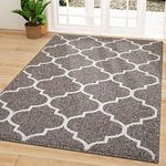 OLANLY Indoor Door Mat, 59x35, Non-