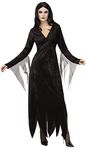 Rubie's Addams Family Animated Movie Morticia Adult Costume, As Shown, Small