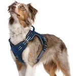 rabbitgoo Dog Harness No Pull, Military Dog Harness Medium Breed with Handle & Molle, Easy Control Service Dog Vest Harness Training Walking, Adjustable Reflective Tactical Pet Harness, Blue, M