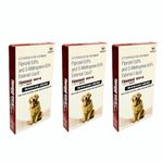 Medilogy Flea and Tick Control: Powerful Dog Flea Killer - Effective Dog Flea Medicine for Large Dogs (20-40 Kgs), Includes 3 Month Supply of Spot On Flea & Tick Prevention