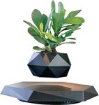 Galox Levitating & Floating Plant Pot (Small Plant) for Home & Office Desk Table Decor Magnetic Floating Levitating Display, Unique Precious Lavish Gift