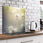 murando Glass Splashback for Kitchen Backsplash Cooker Protector Tempered Glass Decorative Wall Art Panel Heat Resistant Graphic 60x60 cm / 24"x24" Dandelion Nature Meadow Grass b-B-0428-aq-a