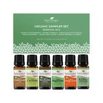 Plant Therapy Organic Essential Oil Sampler Gift Set Includes USDA Certified Organic: Eucalyptus, Peppermint, Rosemary, Cedarwood, Sweet Orange and Citronella 10 mL (1/3 Ounce) Each