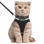 rabbitgoo Cat Harness and Leash Set for Walking Escape Proof, Adjustable Soft Kittens Vest with Reflective Strip for Extra Small Cats, Comfortable Choke-Proof Outdoor Vest Harness,Black, Large