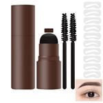 Eyebrow Stamp Stencil Kit, Waterproof Eye Brow Stamp Powder and Stencil Set, Eyebrow Stamp, 10 Reusable Brow Stencil Templates & 2 Brow Brushes, For Flawless Sculpted Brows and Shading (Dark brown)