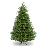 National Tree Norway Spruce Tree, Green